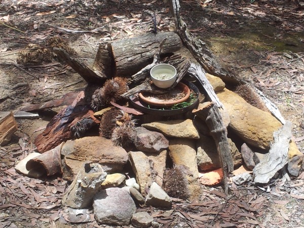 The bird feeder at Banksia